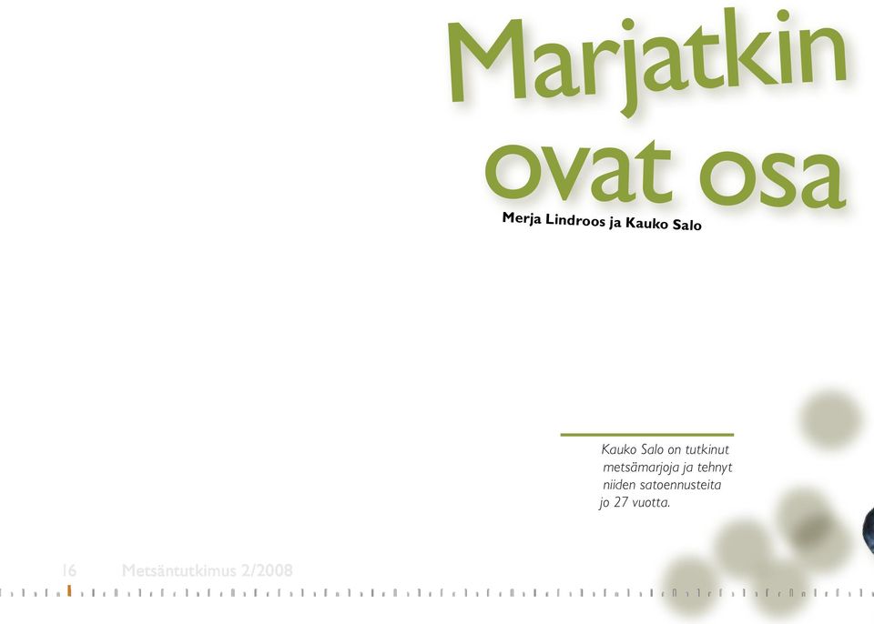 metsämarjoja ja tehnyt niiden