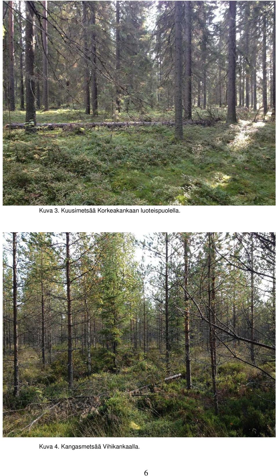 Korkeakankaan
