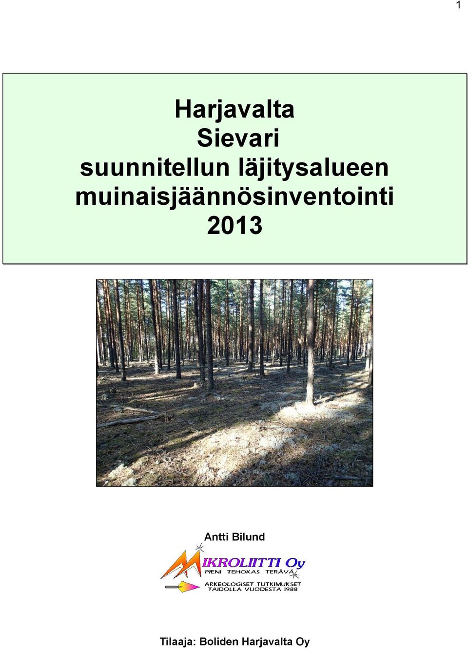 muinaisjäännösinventointi 2013