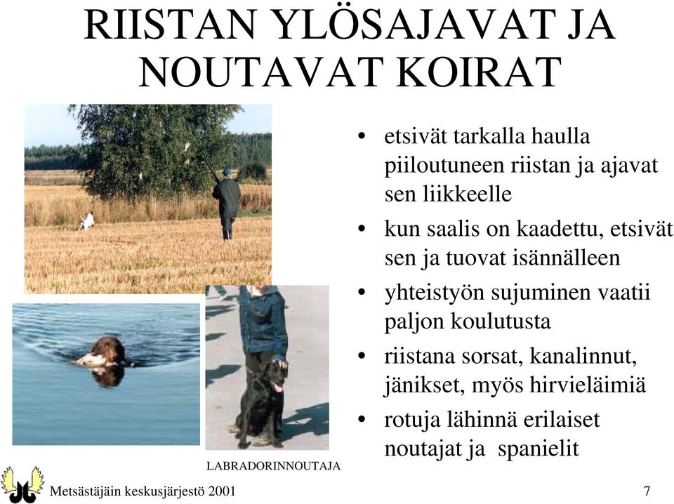 isännälleen yhteistyön sujuminen vaatii paljon koulutusta riistana sorsat, kanalinnut,