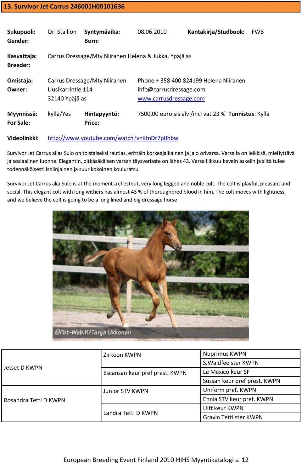 carrusdressage.com kyllä/ 7500,00 euro sis alv /incl vat 23 % Tunnistus: Videolinkki: http://www.youtube.com/watch?