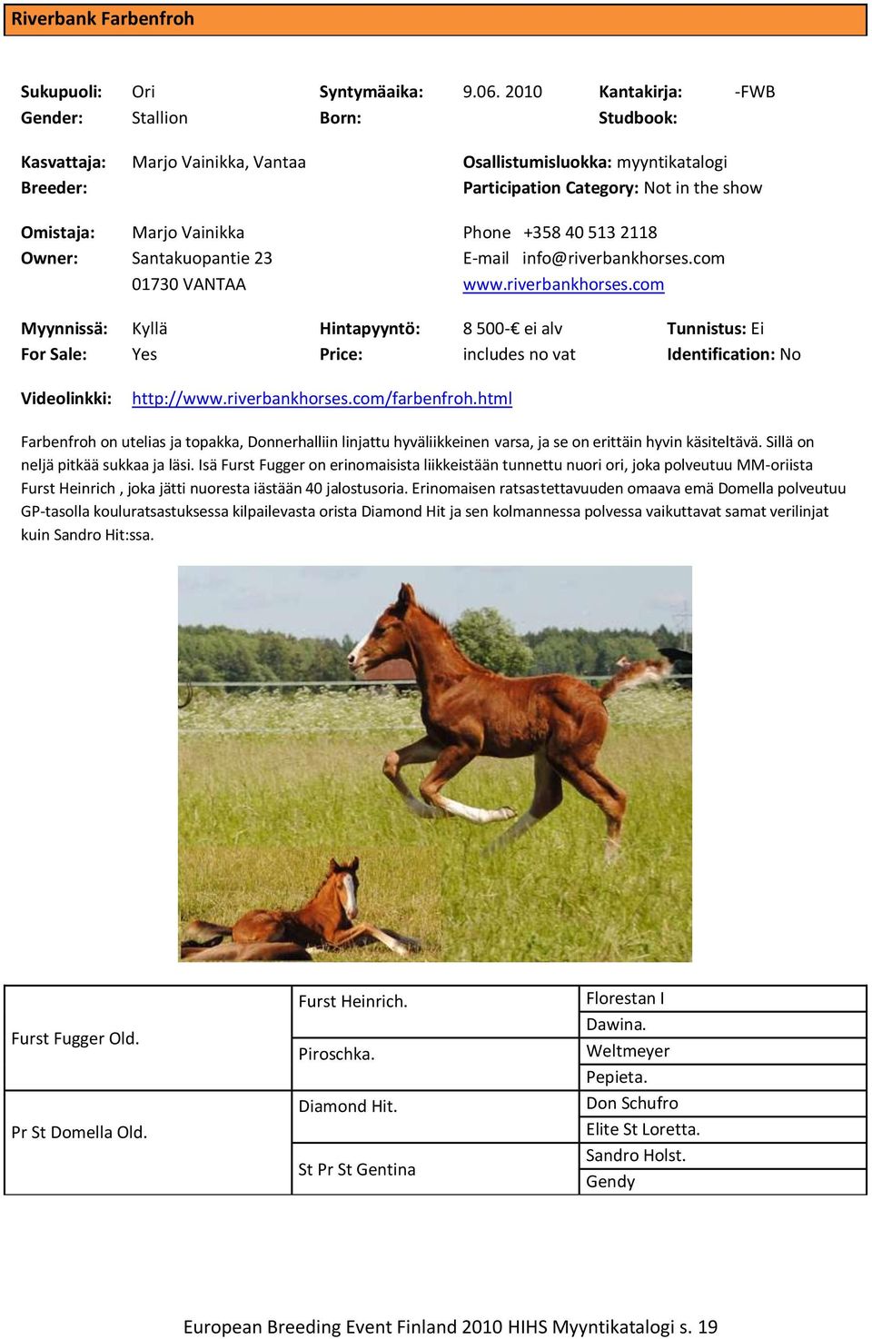 info@riverbankhorses.com www.riverbankhorses.com 8 500- ei alv includes no vat Tunnistus: Ei Identification: No Videolinkki: http://www.riverbankhorses.com/farbenfroh.