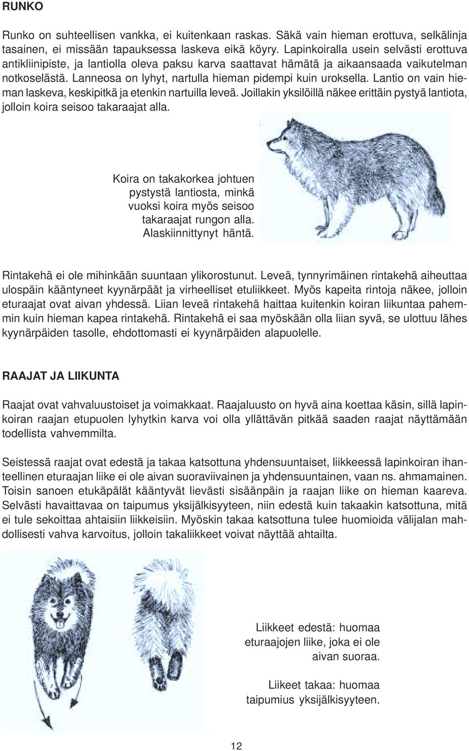 Lanneosa on lyhyt, nartulla hieman pidempi kuin uroksella. Lantio on vain hieman laskeva, keskipitkä ja etenkin nartuilla leveä.
