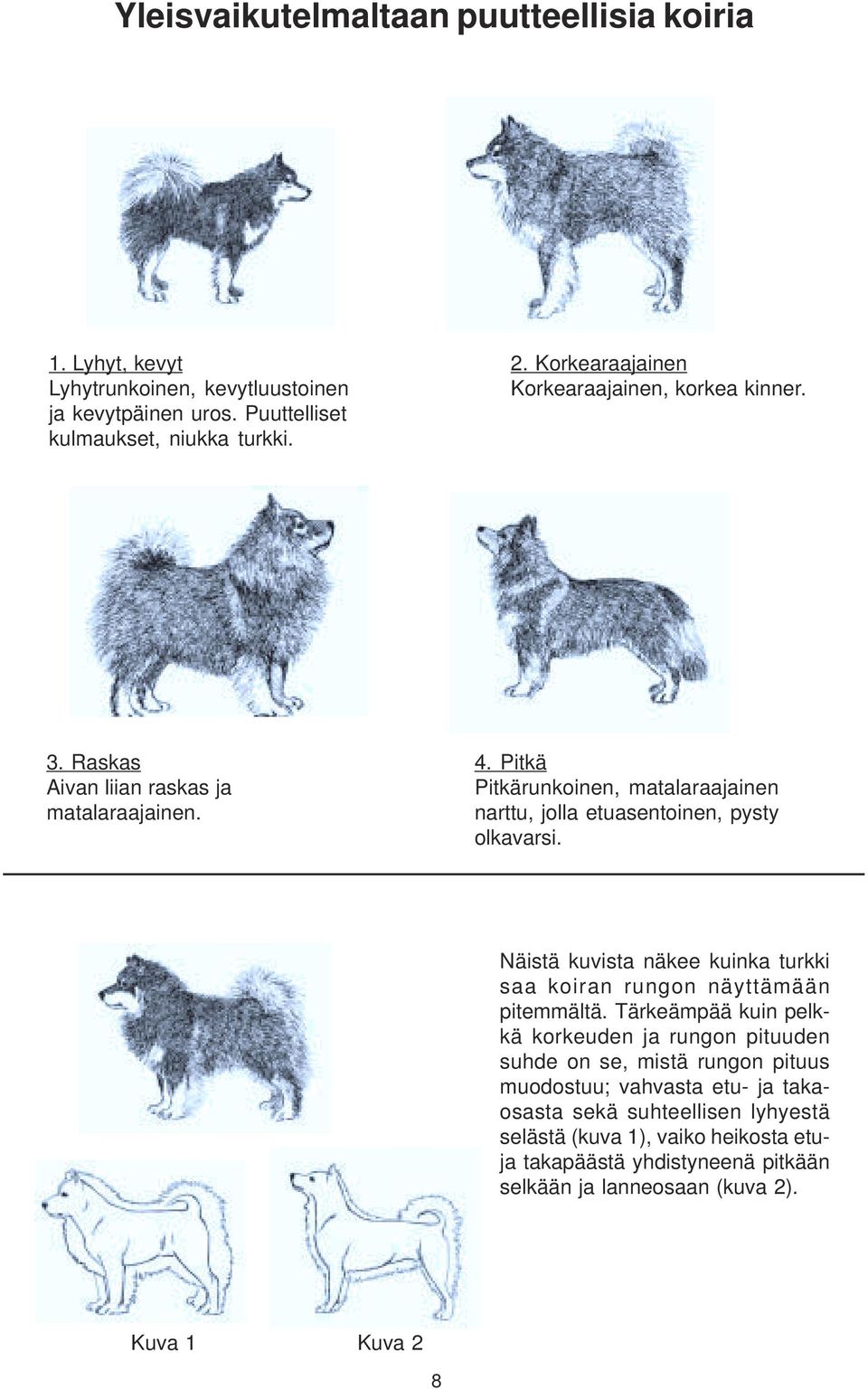 Pitkä Pitkärunkoinen, matalaraajainen narttu, jolla etuasentoinen, pysty olkavarsi. Näistä kuvista näkee kuinka turkki saa koiran rungon näyttämään pitemmältä.