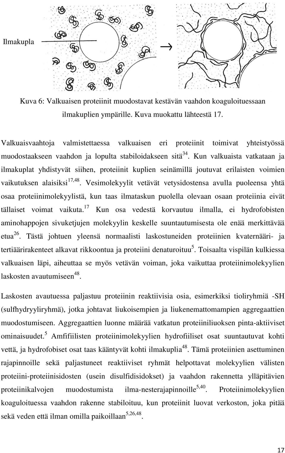 Kun valkuaista vatkataan ja ilmakuplat yhdistyvät siihen, proteiinit kuplien seinämillä joutuvat erilaisten voimien vaikutuksen alaisiksi 17,48.