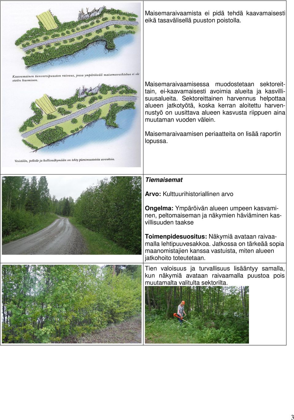 Maisemaraivaamisen periaatteita on lisää raportin lopussa.