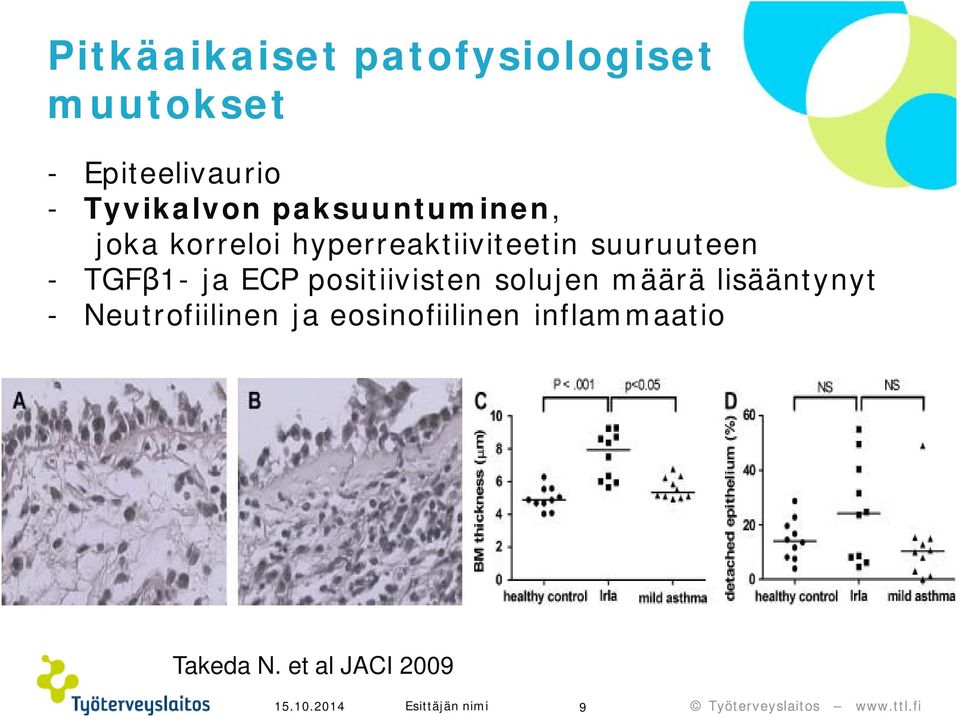 suuruuteen - TGFβ1- ja ECP positiivisten solujen määrä