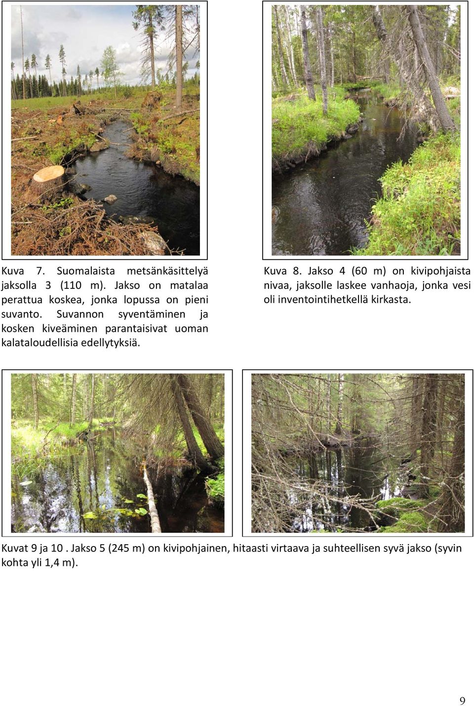 Suvannon syventäminen ja kosken kiveäminen parantaisivat uoman kalataloudellisia edellytyksiä. Kuva 8.