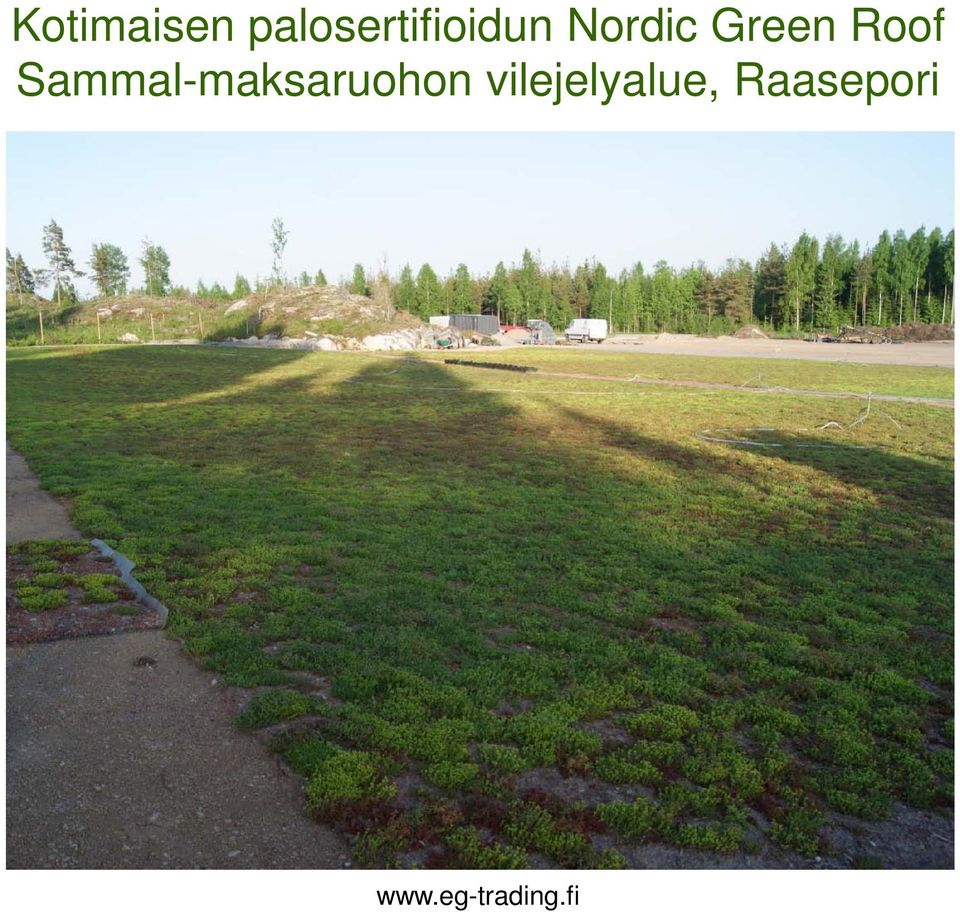 Green Roof