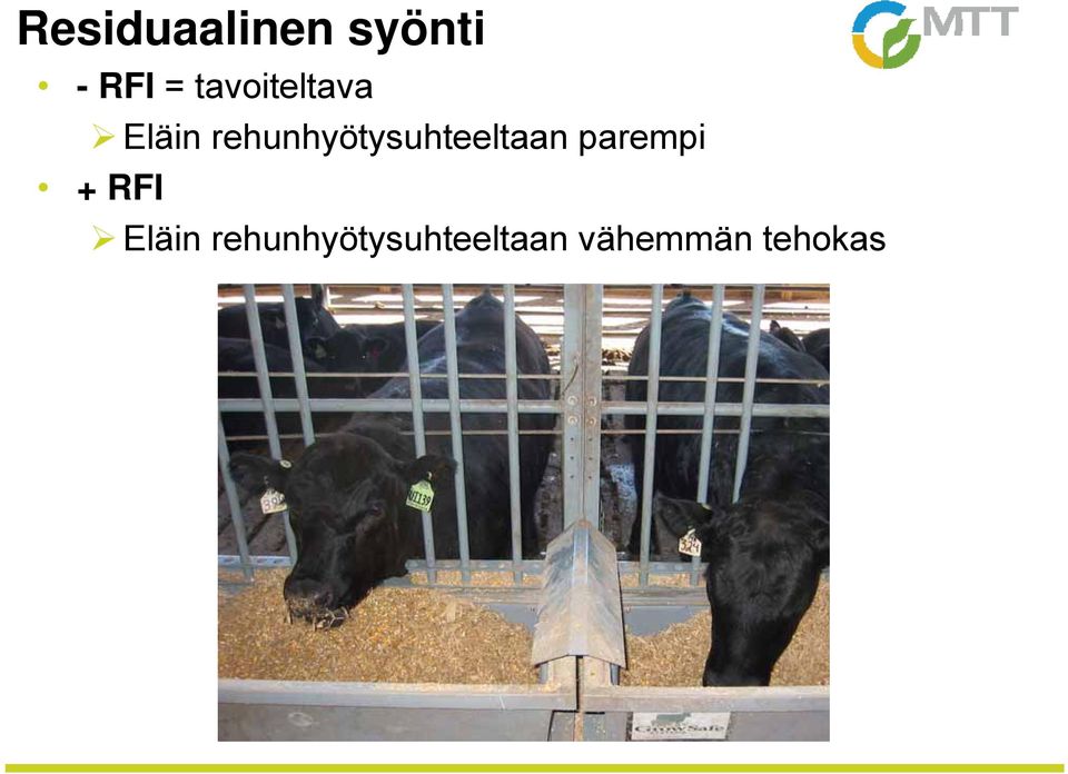rehunhyötysuhteeltaan parempi +