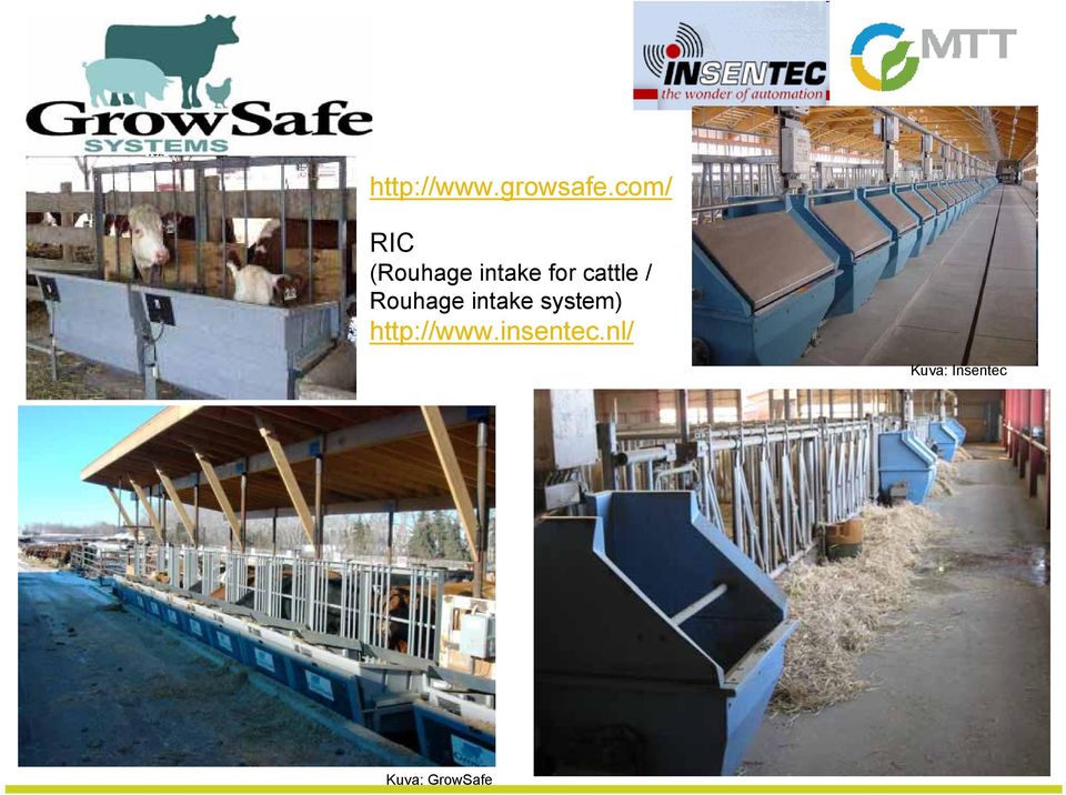 cattle / Rouhage intake system)