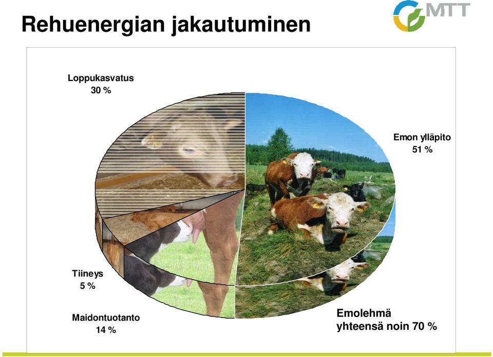 ylläpito 51 % Tiineys 5 %