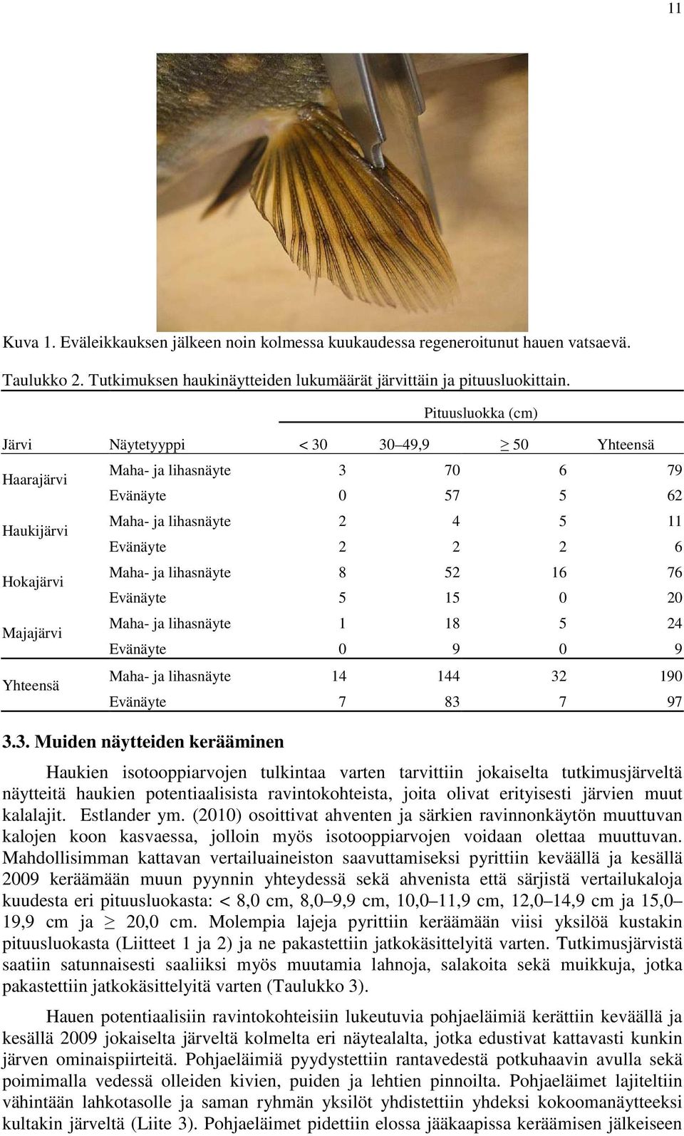 2 2 2 6 Maha- ja lihasnäyte 8 52 16 76 Evänäyte 5 15 0 20 Maha- ja lihasnäyte 1 18 5 24 Evänäyte 0 9 0 9 Maha- ja lihasnäyte 14 144 32