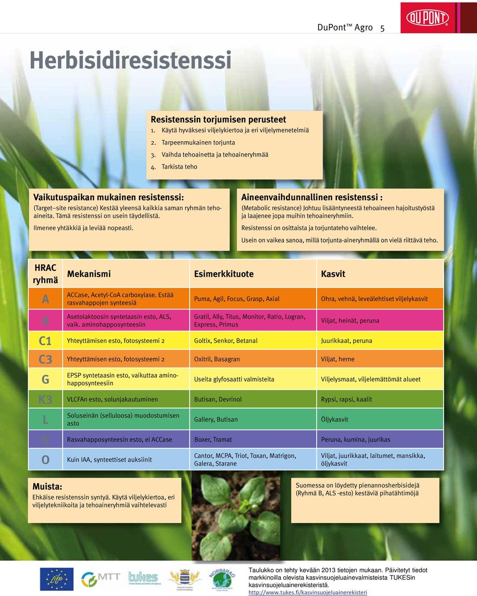 Aineenvaihdunnallinen resistenssi : (Metabolic resistance) Johtuu lisääntyneestä tehoaineen hajoitustyöstä ja laajenee jopa muihin tehoaineryhmiin. Resistenssi on osittaista ja torjuntateho vaihtelee.