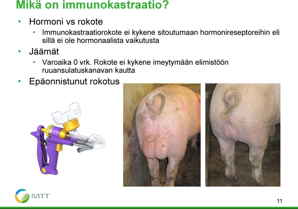 hormonireseptoreihin eli sillä ei ole hormonaalista vaikutusta