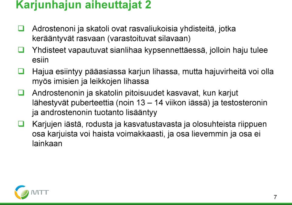 lihassa Androstenonin ja skatolin pitoisuudet kasvavat, kun karjut lähestyvät puberteettia (noin 13 14 viikon iässä) ja testosteronin ja androstenonin