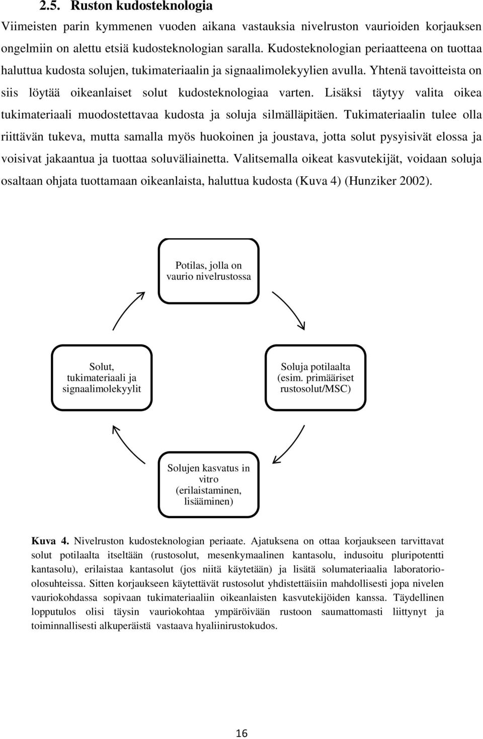 Lisäksi täytyy valita oikea tukimateriaali muodostettavaa kudosta ja soluja silmälläpitäen.