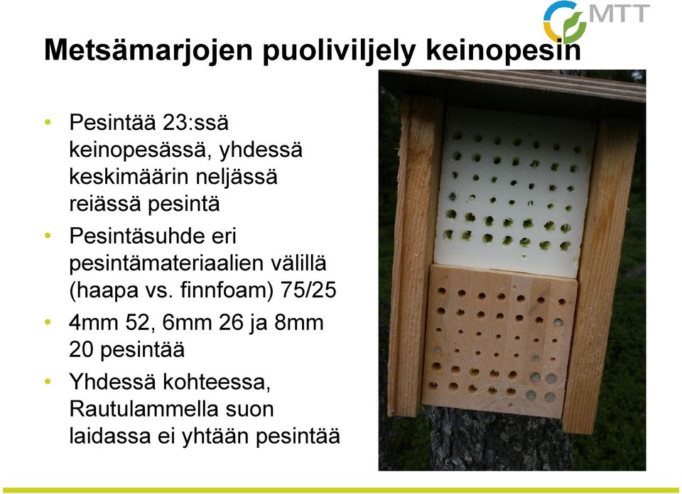 pesintämateriaalien välillä (haapa vs.