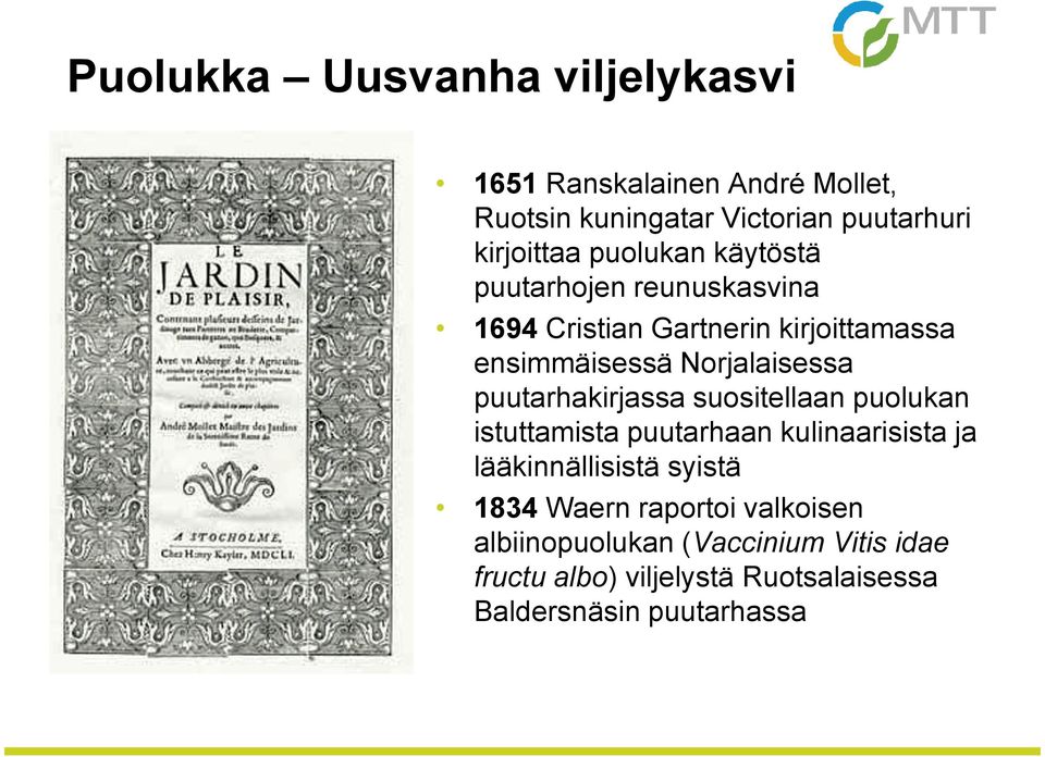 puutarhakirjassa suositellaan puolukan istuttamista puutarhaan kulinaarisista ja lääkinnällisistä syistä 1834 Waern