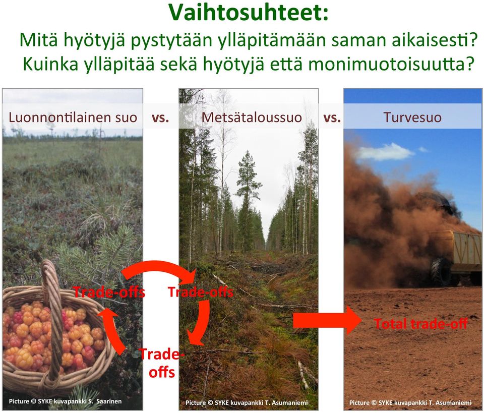 Turvesuo Trade- offs Trade- offs Total trade- off Trade- offs Picture SYKE kuvapankki S.