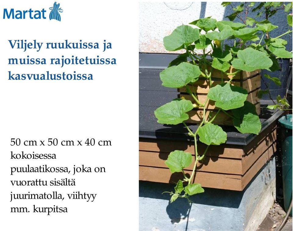 kokoisessa puulaatikossa, joka on