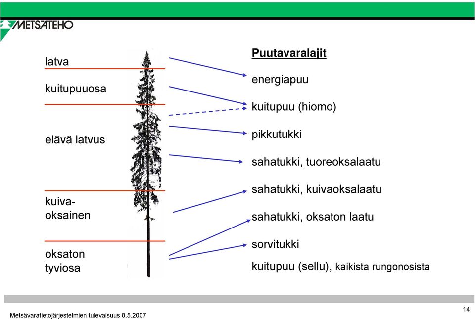 kuivaoksainen oksaton tyviosa sahatukki, kuivaoksalaatu