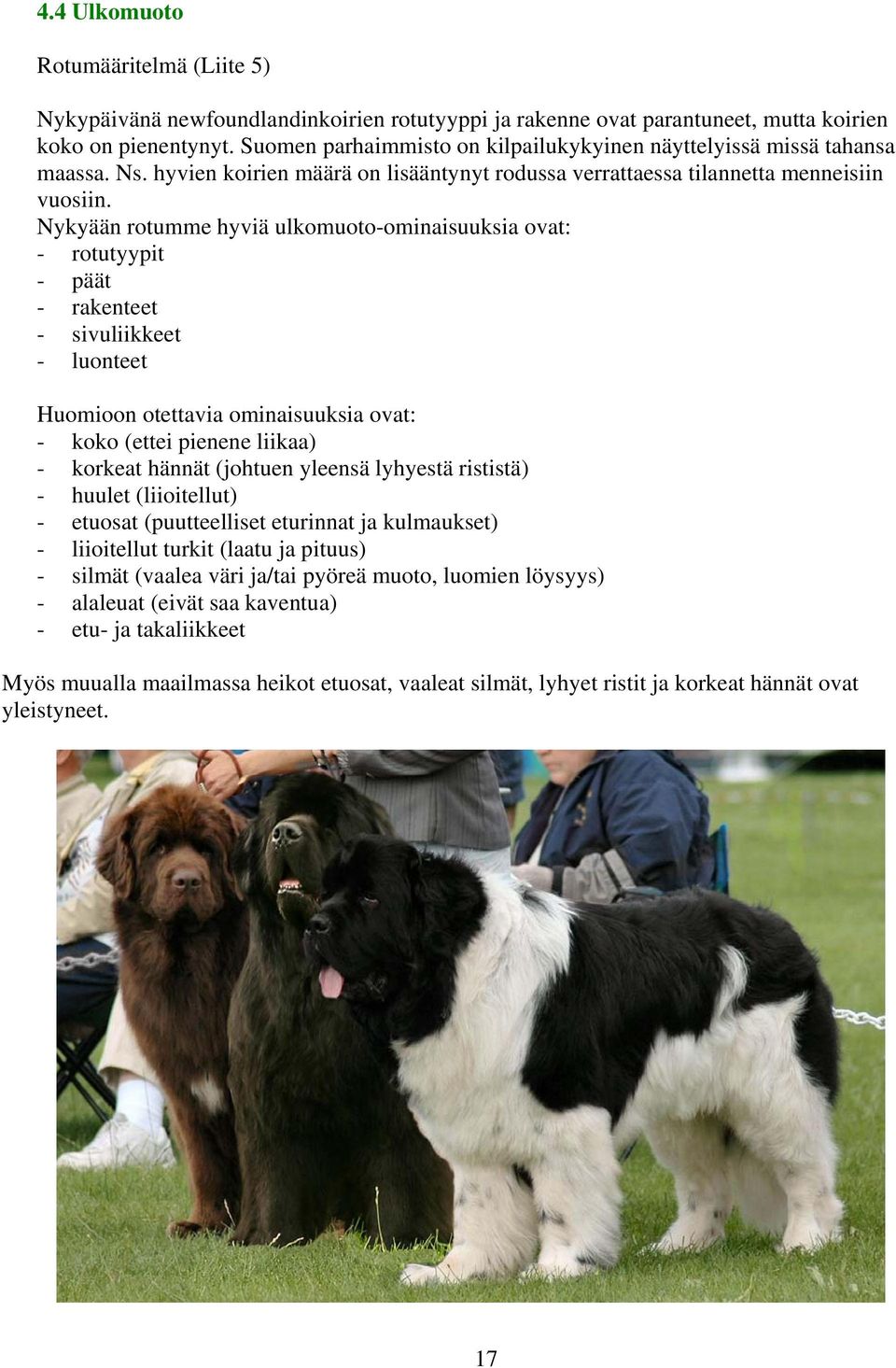 Nykyään rotumme hyviä ulkomuoto-ominaisuuksia ovat: - rotutyypit - päät - rakenteet - sivuliikkeet - luonteet Huomioon otettavia ominaisuuksia ovat: - koko (ettei pienene liikaa) - korkeat hännät