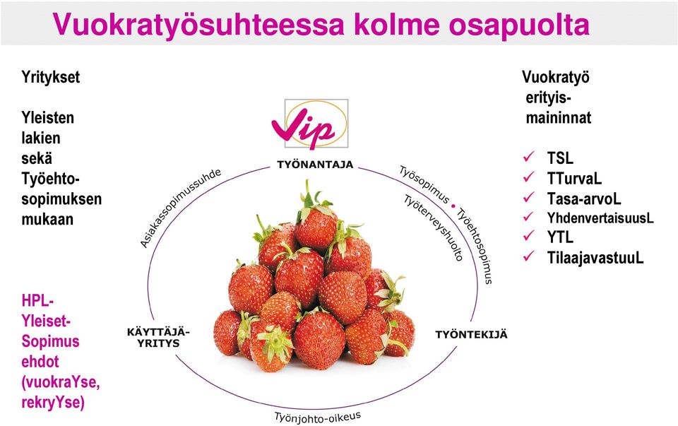 erityismaininnat TSL TTurvaL Tasa-arvoL YhdenvertaisuusL