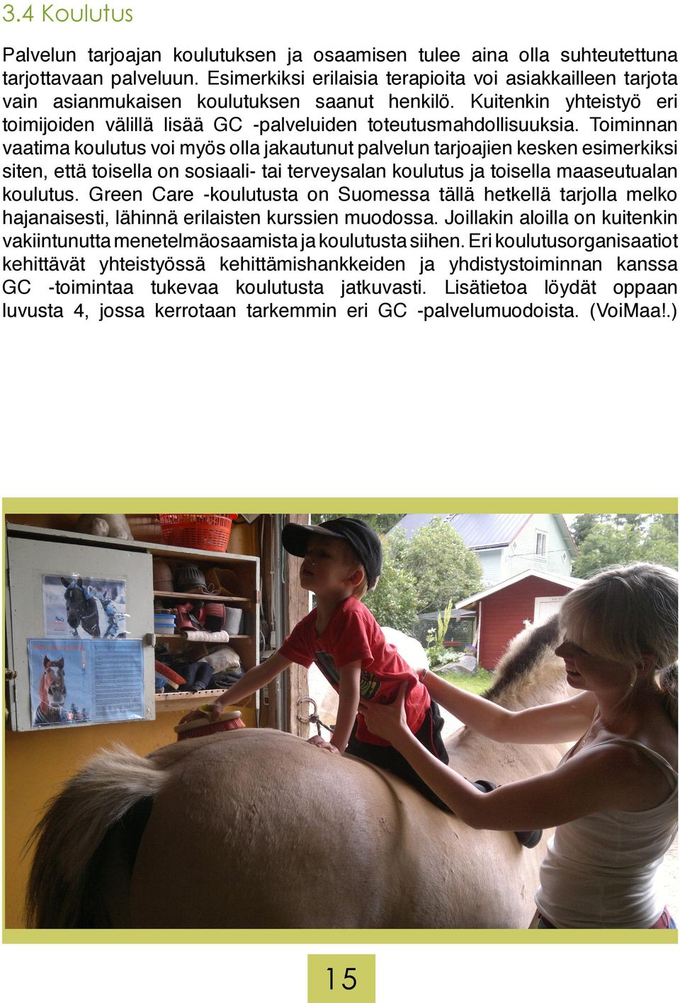 Toiminnan vaatima koulutus voi myös olla jakautunut palvelun tarjoajien kesken esimerkiksi siten, että toisella on sosiaali- tai terveysalan koulutus ja toisella maaseutualan koulutus.
