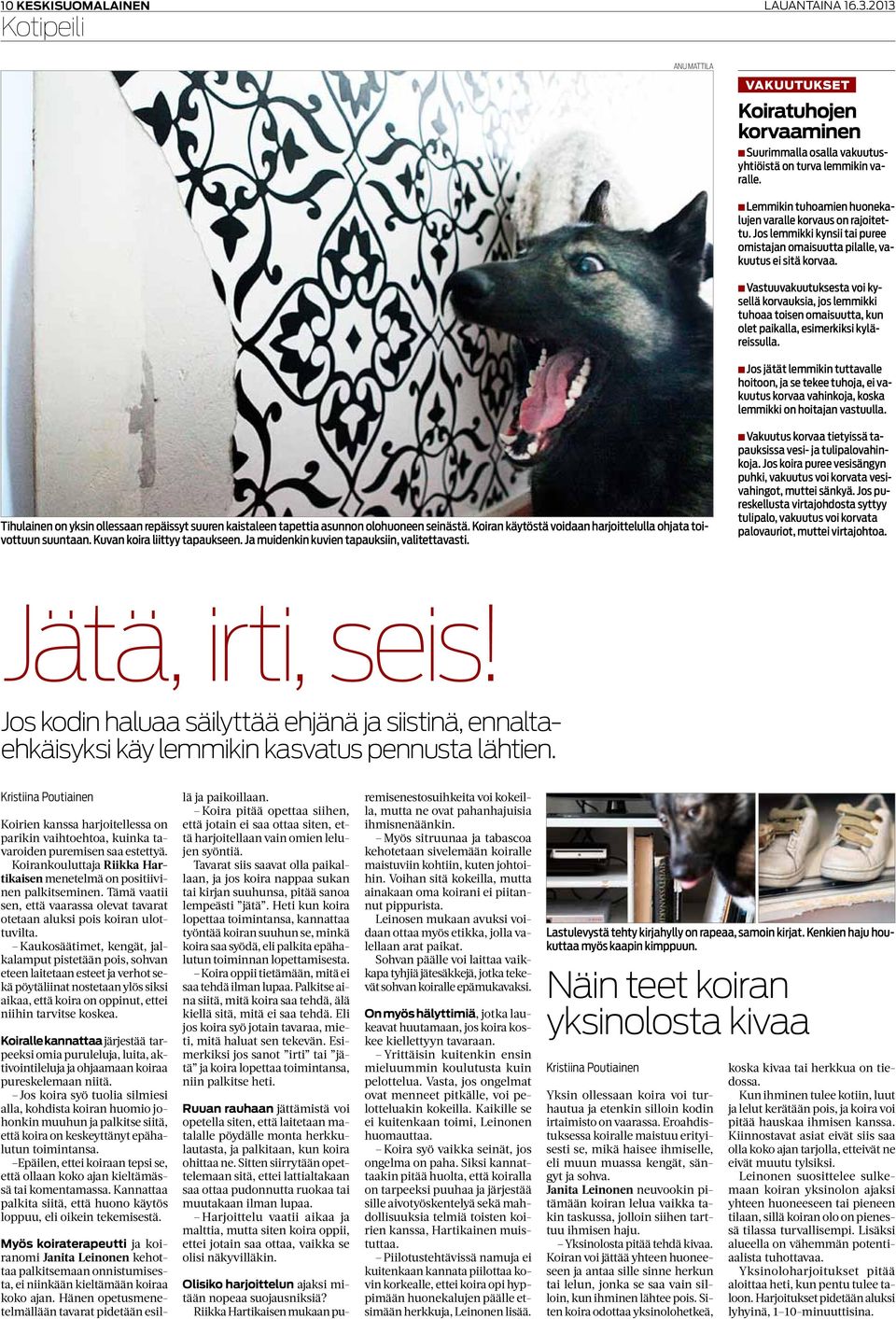 Vastuuvakuutuksesta voi kysellä korvauksia, jos lemmikki tuhoaa toisen omaisuutta, kun olet paikalla, esimerkiksi kyläreissulla.