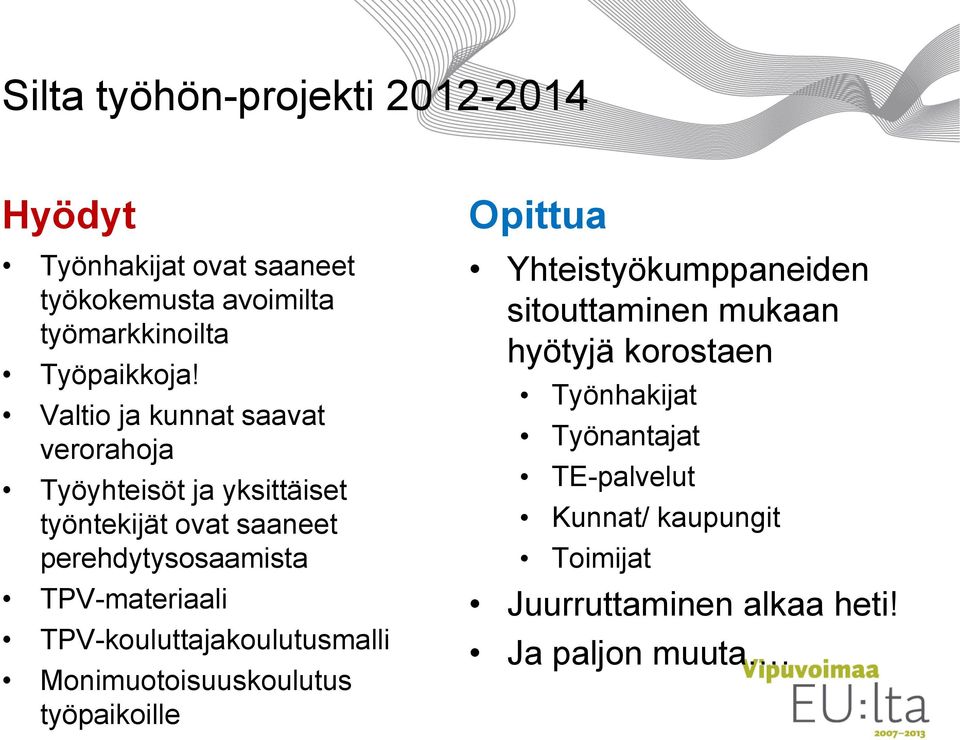 TPV-materiaali TPV-kouluttajakoulutusmalli Monimuotoisuuskoulutus työpaikoille Opittua Yhteistyökumppaneiden