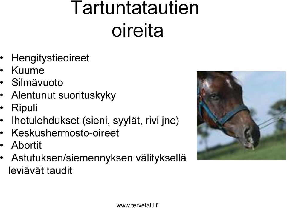 Ihotulehdukset (sieni, syylät, rivi jne)