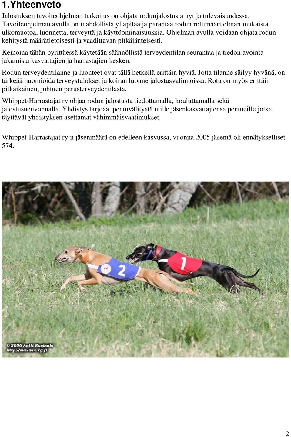 Ohjelman avulla voidaan ohjata rodun kehitystä määrätietoisesti ja vaadittavan pitkäjänteisesti.