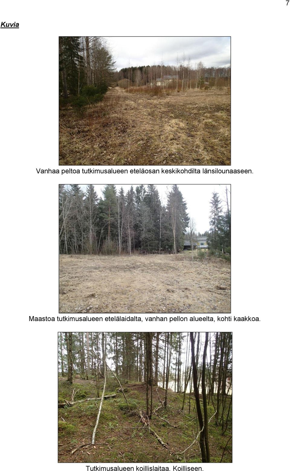 Maastoa tutkimusalueen etelälaidalta, vanhan