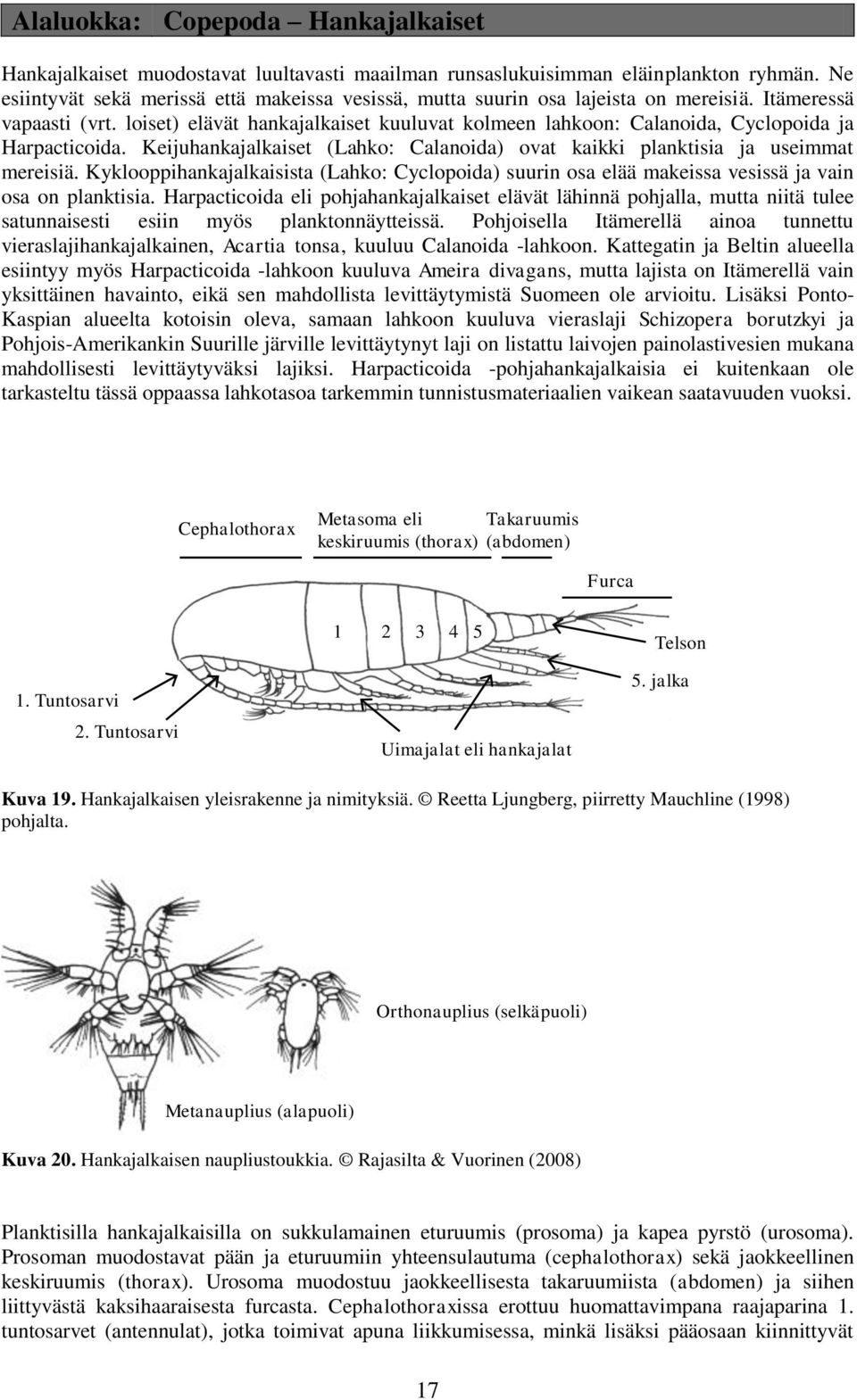 loiset) elävät hankajalkaiset kuuluvat kolmeen lahkoon: Calanoida, Cyclopoida ja Harpacticoida. Keijuhankajalkaiset (Lahko: Calanoida) ovat kaikki planktisia ja useimmat mereisiä.