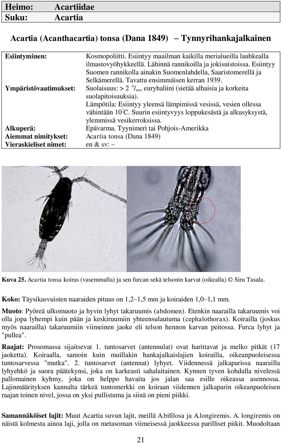 Ympäristövaatimukset: Suolaisuus: > 2 o / oo, euryhaliini (sietää alhaisia ja korkeita suolapitoisuuksia). Lämpötila: Esiintyy yleensä lämpimissä vesissä, vesien ollessa vähintään 10 C.