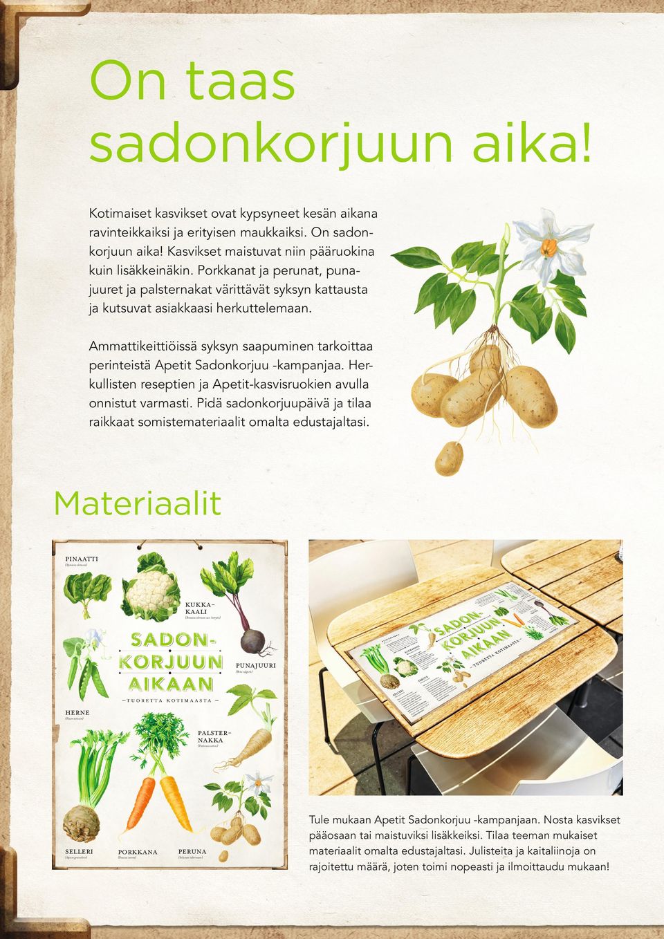 Ammattikeittiöissä syksyn saapuminen tarkoittaa perinteistä Apetit Sadonkorjuu -kampanjaa. Herkullisten reseptien ja Apetit-kasvisruokien avulla onnistut varmasti.