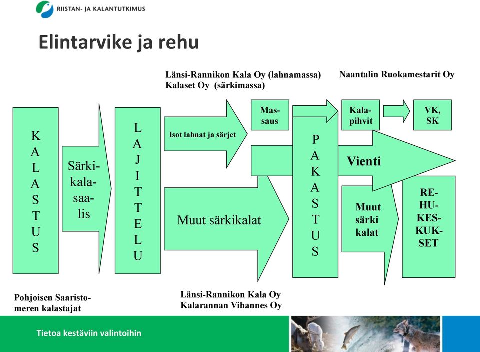 Muut särkikalat Massaus P A K A S T U S Kalapihvit Vienti Muut särki kalat VK, SK RE- HU-