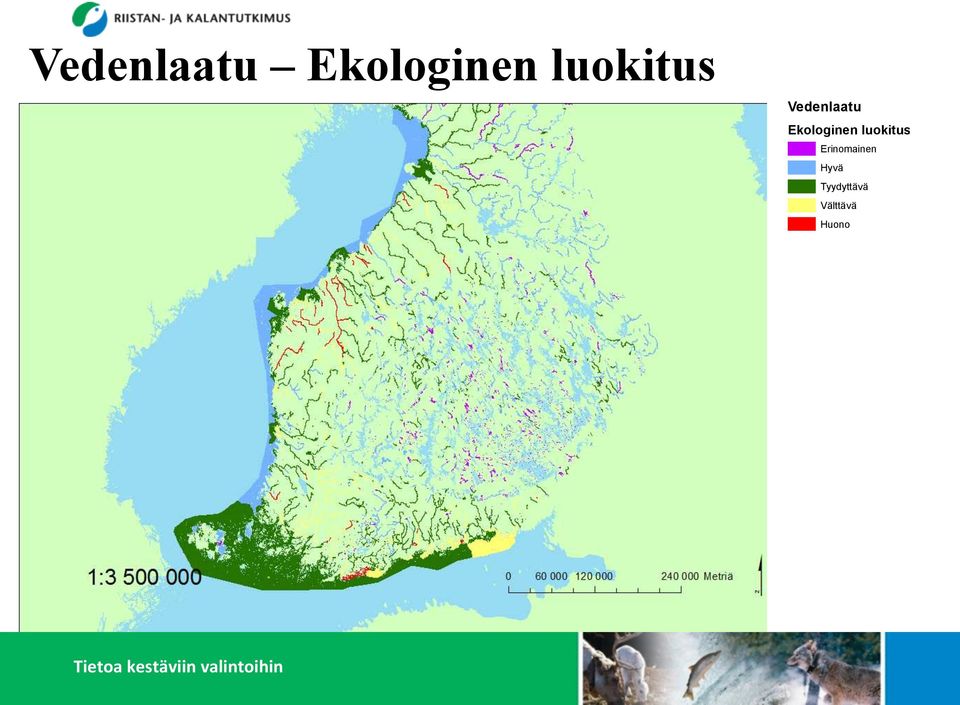 Erinomainen Hyvä