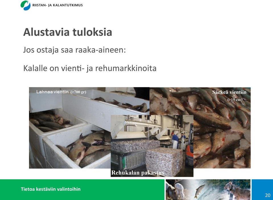 rehumarkkinoita (>700 gr) Särkeä