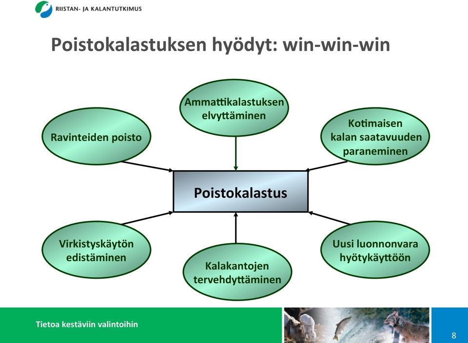 saatavuuden paraneminen Poistokalastus Virkistyskäytön