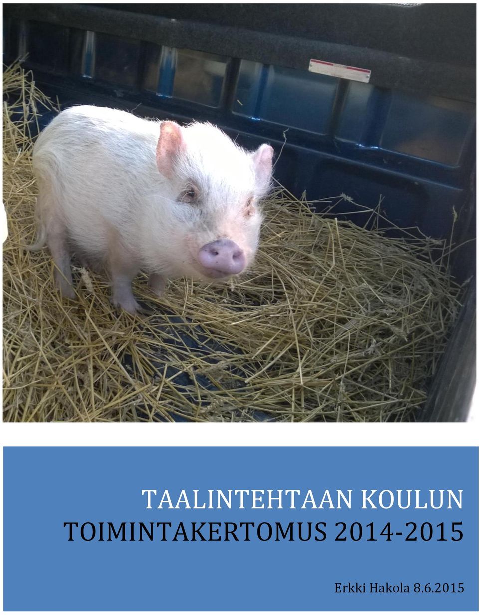 TOIMINTAKERTOMUS