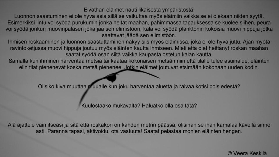 muovi hippuja jotka saattavat jäädä sen elimistöön. Ihmisen roskaaminen ja luonnon saastuttaminen näkyy siis myös eläimissä, joka ei ole hyvä juttu.