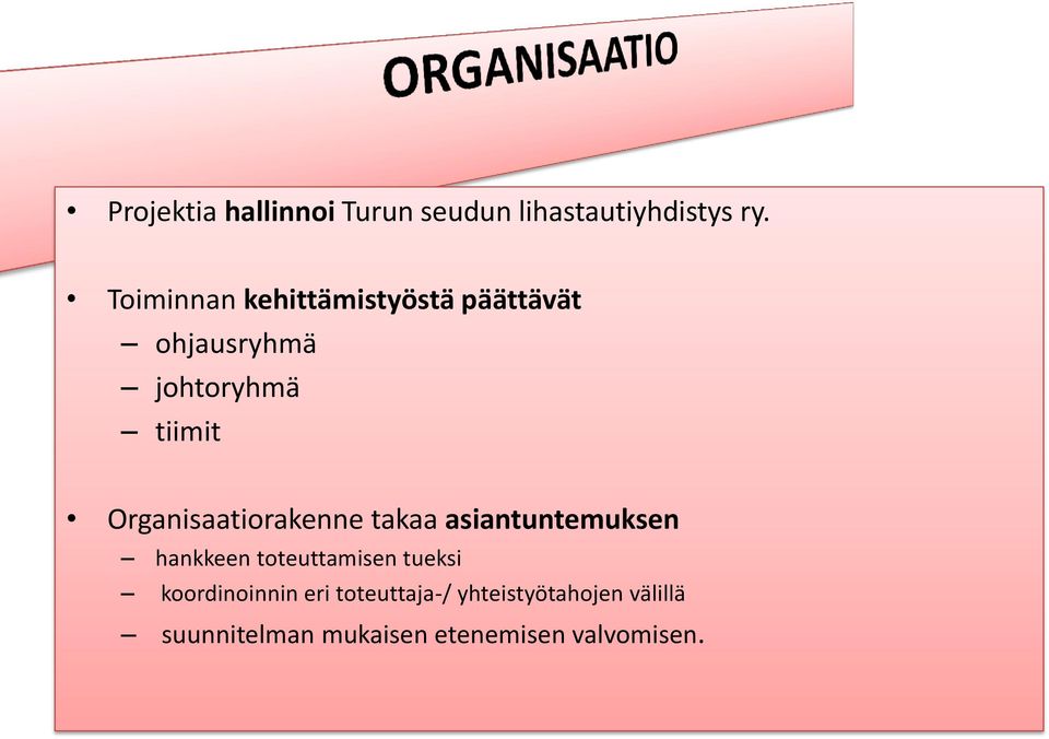 Organisaatiorakenne takaa asiantuntemuksen hankkeen toteuttamisen tueksi