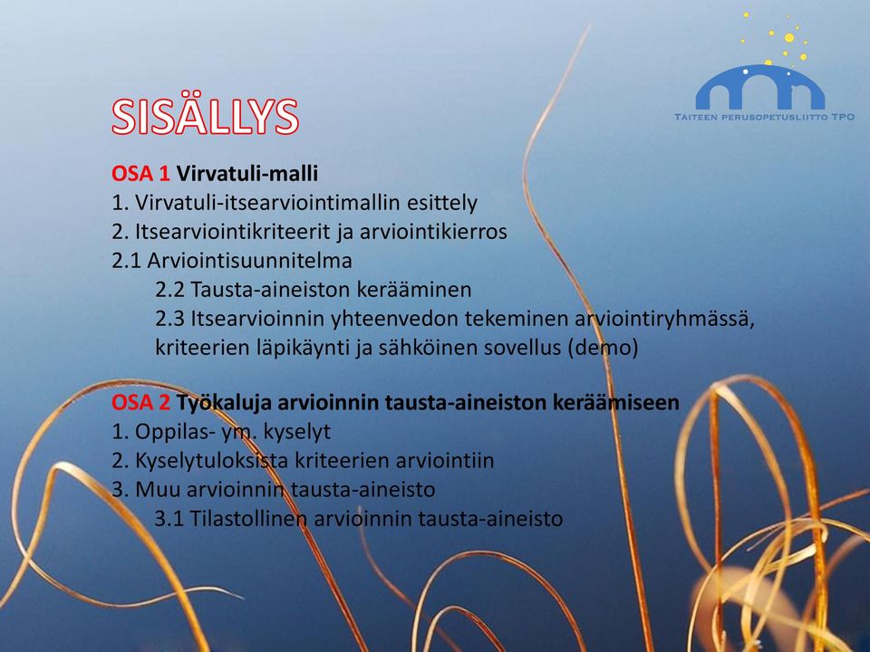 3 Itsearvioinnin yhteenvedon tekeminen arviointiryhmässä, kriteerien läpikäynti ja sähköinen sovellus (demo) OSA 2