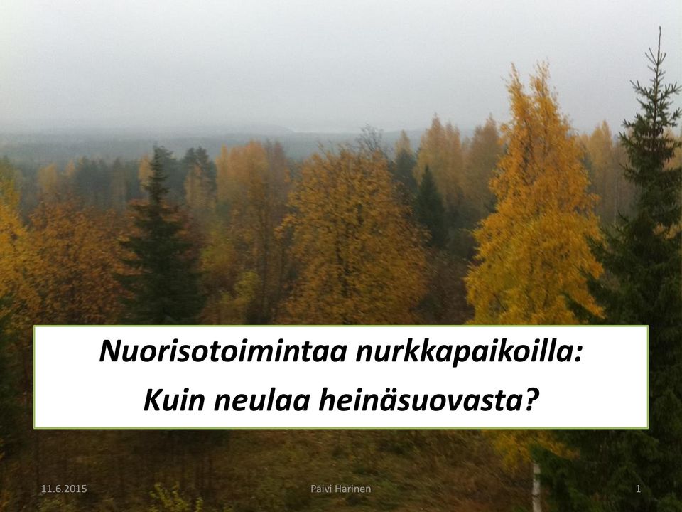 neulaa heinäsuovasta?