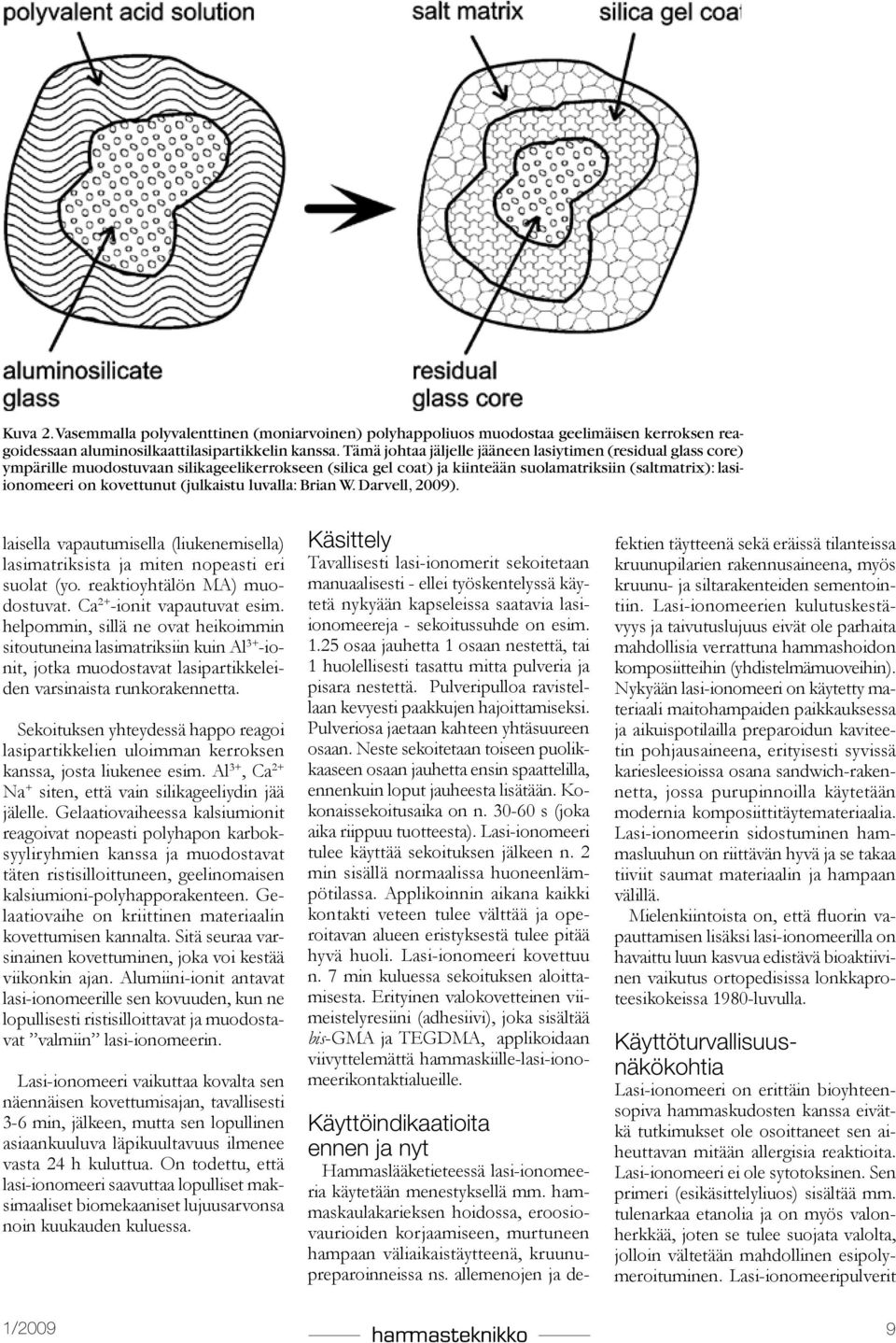 (julkaistu luvalla: Brian W. Darvell, 2009). laisella vapautumisella (liukenemisella) lasimatriksista ja miten nopeasti eri suolat (yo. reaktioyhtälön MA) muodostuvat. Ca 2+ -ionit vapautuvat esim.