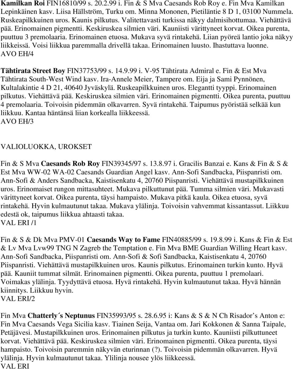 Oikea purenta, puuttuu 3 premolaaria. Erinomainen etuosa. Mukava syvä rintakehä. Liian pyöreä lantio joka näkyy liikkeissä. Voisi liikkua paremmalla drivellä takaa. Erinomainen luusto.