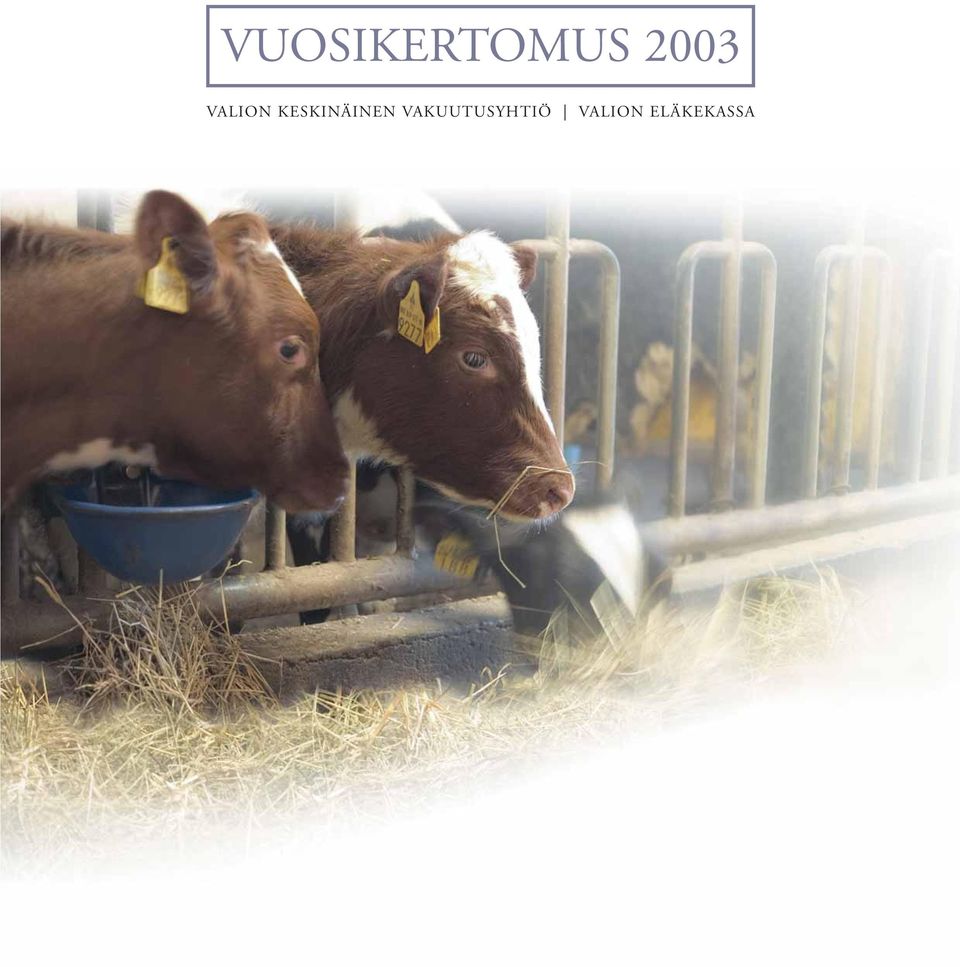 KESKINÄINEN