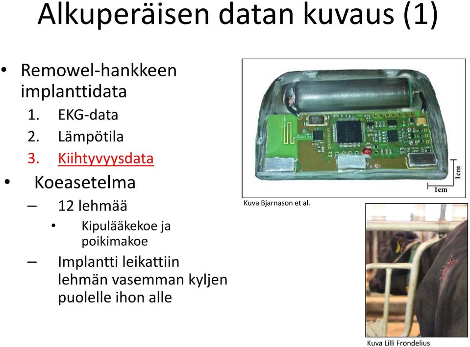 Kiihtyvyysdata Koeasetelma 12 lehmää Kipulääkekoe ja poikimakoe